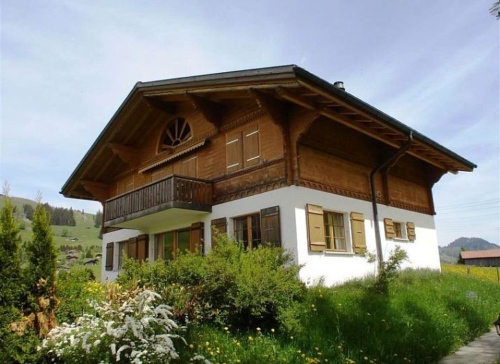 Verblijf 1805109 - Appartement Berner Oberland - Appartement Grüenbüelti