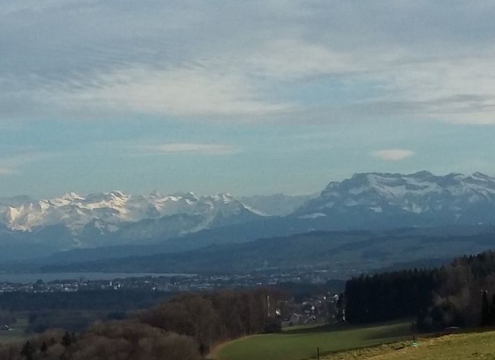 Moderne keukenruimte in Hauschen appartement, Winikon, Centraal Zwitserland, met zonnebloemen en elegante verlichting.