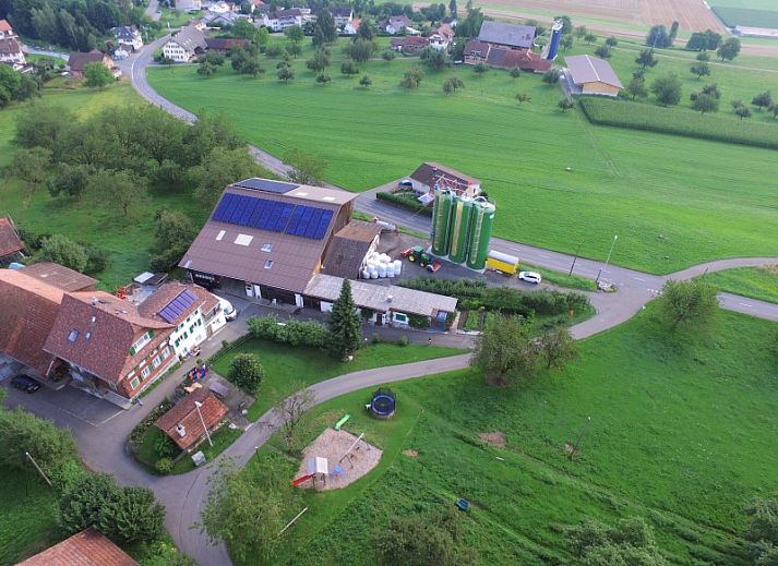 Moderne keukenruimte in Hauschen appartement, Winikon, Centraal Zwitserland, met zonnebloemen en elegante verlichting.