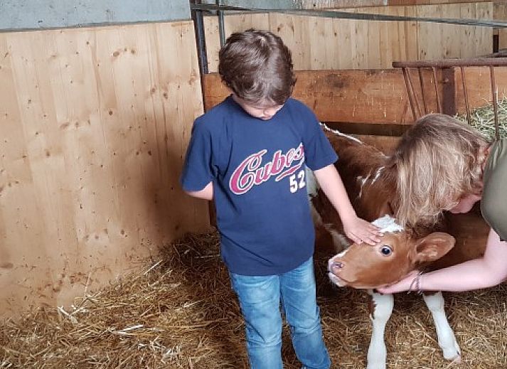 Keuken en eetgedeelte van Hauschen accommodatie in Winikon, Zwitserland, met ramen naar de omgeving.