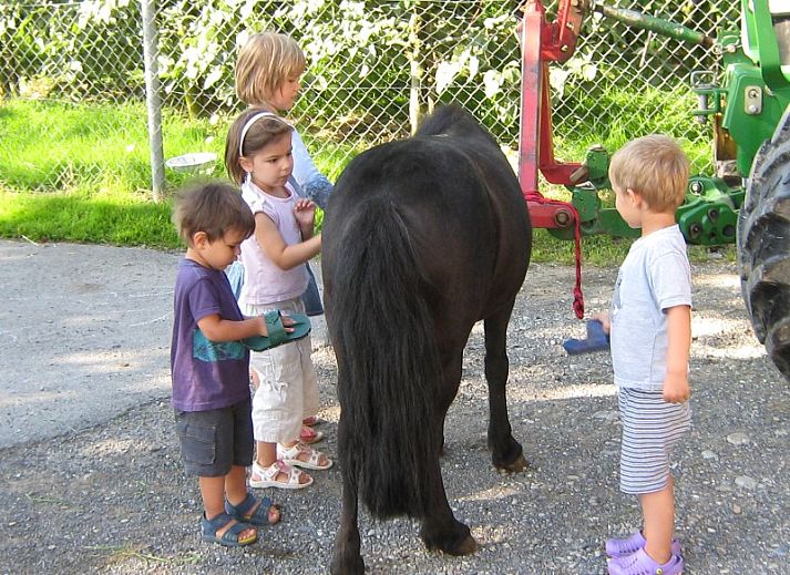 Keuken en eetgedeelte van Hauschen accommodatie in Winikon, Zwitserland, met ramen naar de omgeving.