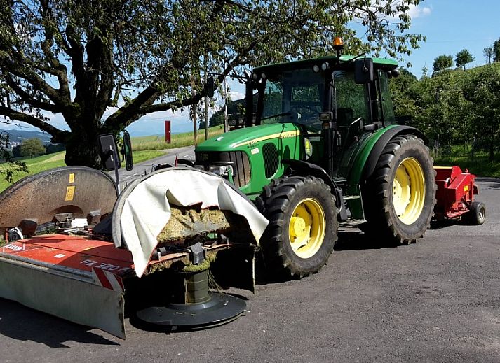 Hauschen appartement in Winikon, Zwitserland, biedt een sfeervolle woonkamer met een rustieke uitstraling en veel natuurlijk licht.