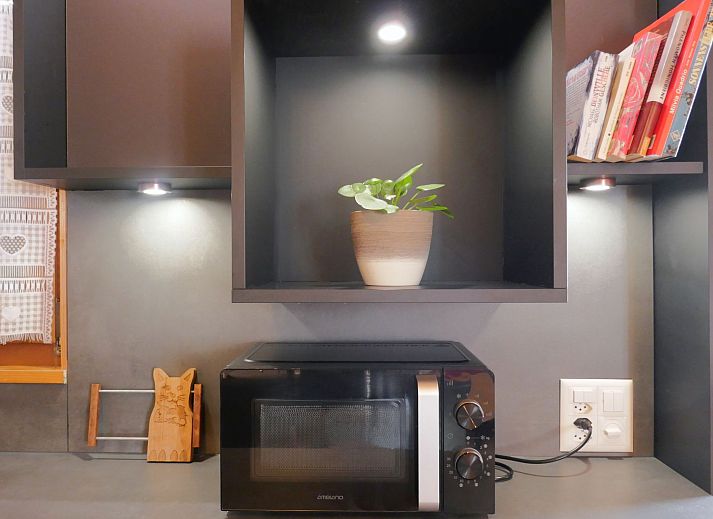 Verblijf 1838705 - Appartement Ticino / Tessin - Appartement Prou Forestside