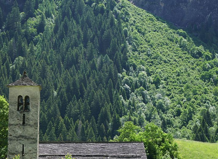 Verblijf 1838705 - Appartement Ticino / Tessin - Appartement Prou Forestside