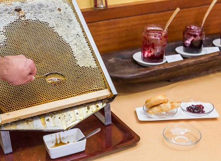 Guest house 19914404 - Apartment Canary Islands - La Casona del Patio