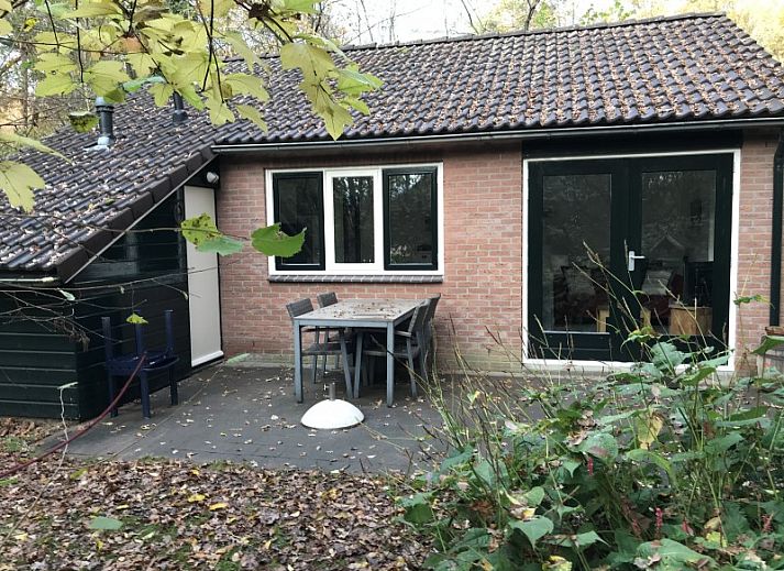 Uitzicht op weiland met paarden bij huisje in Ruinen, vakantiehuis in Drenthe.