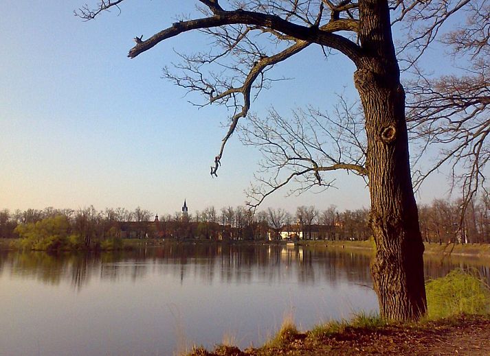 Verblijf 2094701 - Appartement Zuid-Bohemen - Appartement Rezidence Petra Voka 208