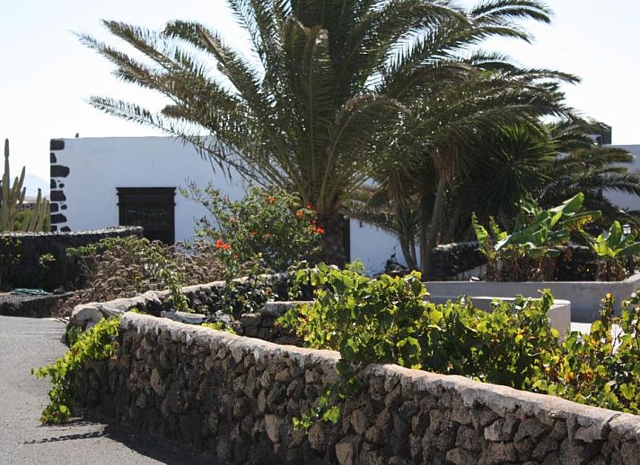 Verblijf 21614401 - Vakantiewoning Canarische Eilanden - Casa Rural Finca Isabel