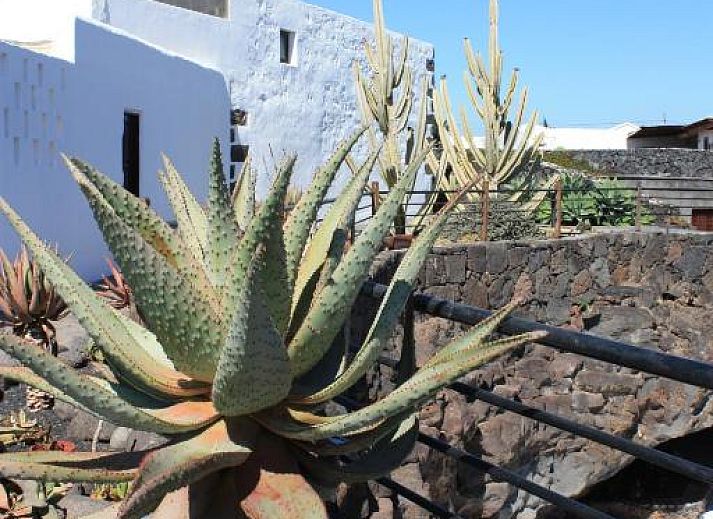 Verblijf 21614401 - Vakantiewoning Canarische Eilanden - Casa Rural Finca Isabel