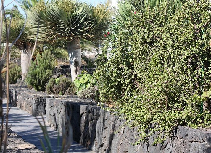 Verblijf 21614401 - Vakantiewoning Canarische Eilanden - Casa Rural Finca Isabel