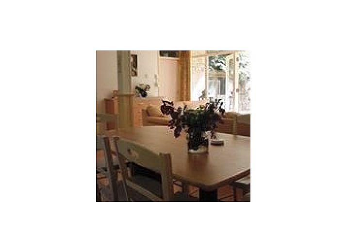 De Vlier bungalow in Appelscha, Friesland met zonnig terras en groene tuin in de Friese bossen.