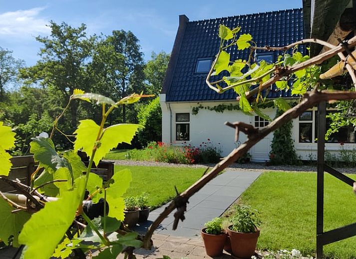 Rustieke omgeving bij Vakantiehuisje in Ruigahuizen met bomen en grasland in Friesland.