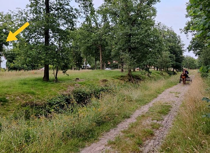 Moderne keuken in Vakantiehuisje in Ruigahuizen met uitzicht op de Friese bossen, Friesland.