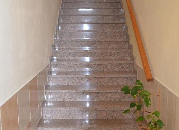 Verblijf 25614402 - Appartement Canarische Eilanden - Apartamentos Arure Plaza