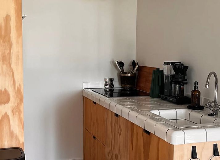 Uitzicht op de groene omgeving van Vakantiehuisje in Lioessens, Friesland, met een serene waterkant.