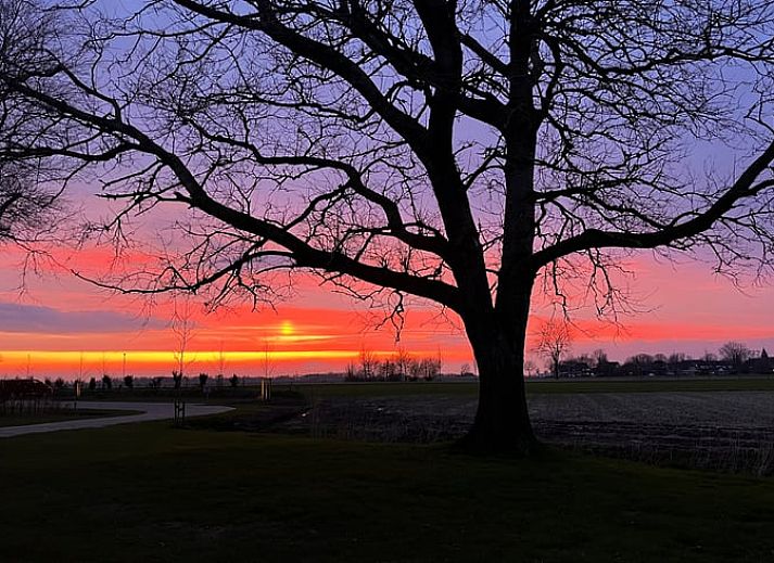 Uitzicht op de groene omgeving van Vakantiehuisje in Lioessens, Friesland, met een serene waterkant.