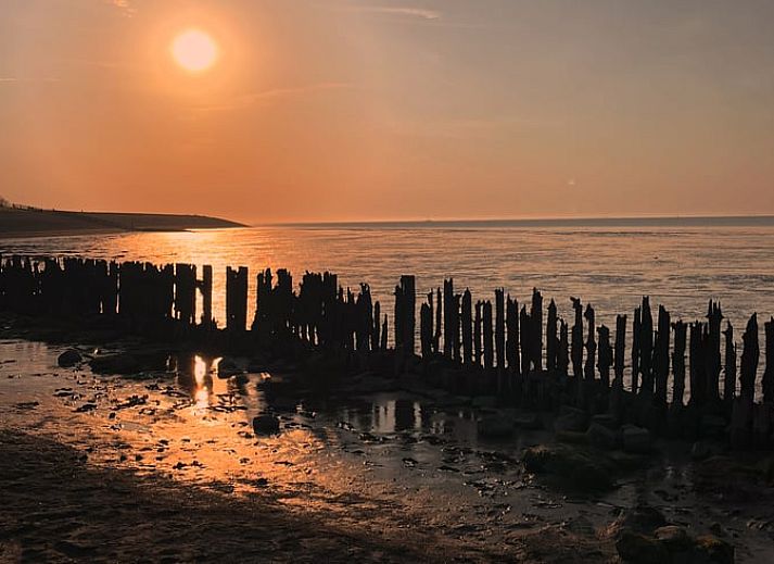 Gezellige tuin van Vakantiehuisje in Lioessens met een kip, gelegen in Friesland, op het platteland.