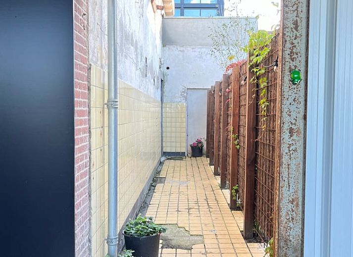 Gezellige tuin van Vakantiehuisje in Lioessens met een kip, gelegen in Friesland, op het platteland.