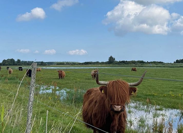 Moderne binnenruimte van Vakantiehuisje in Lioessens met stijlvolle trap, op het Friese platteland, Friesland.