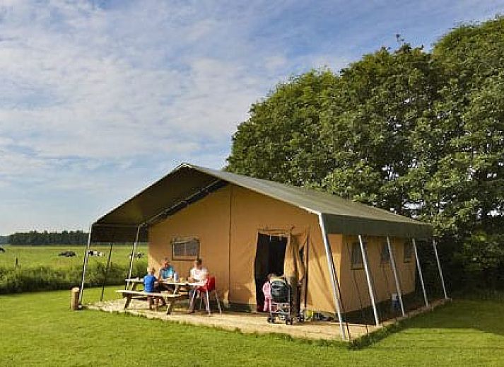 Verblijf 2620901 - Tenthuis Het Friese platteland - Safaritent + Airco