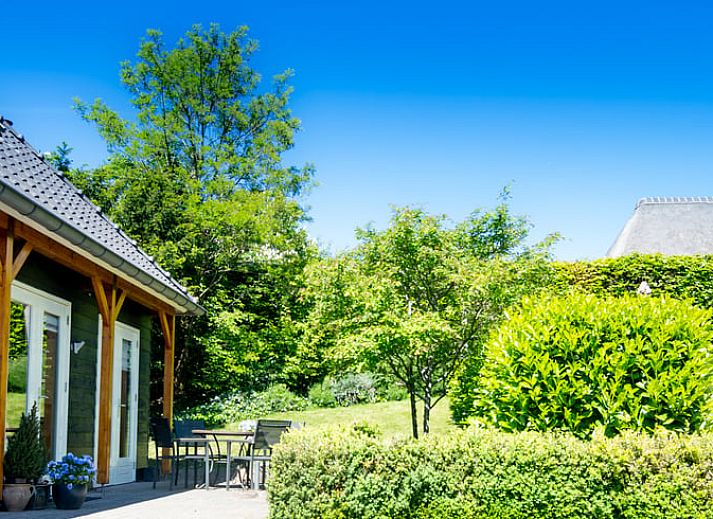 Geniet van de groene tuin bij Huisje in Aerdt, een vakantiehuis in het Rivierengebied van Gelderland.
