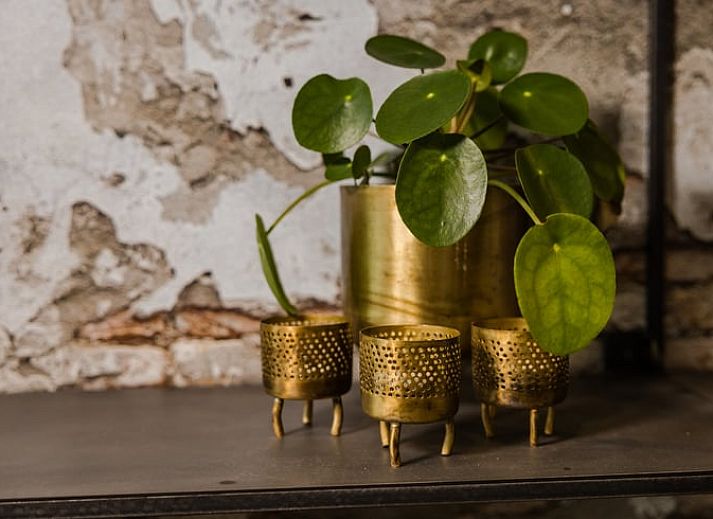 Spacious living room in Holiday Home in Beneden-Leeuwen with comfortable seating.