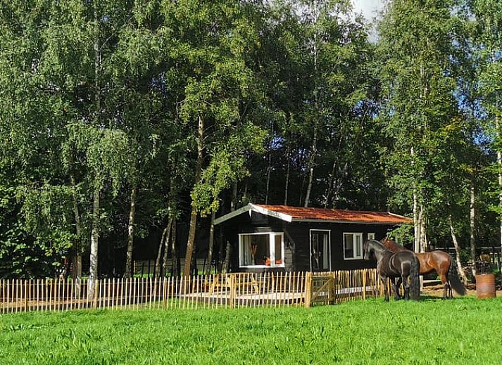 Guest house 288801 - Holiday property Rivierengebied - Vakantiehuis in Gameren
