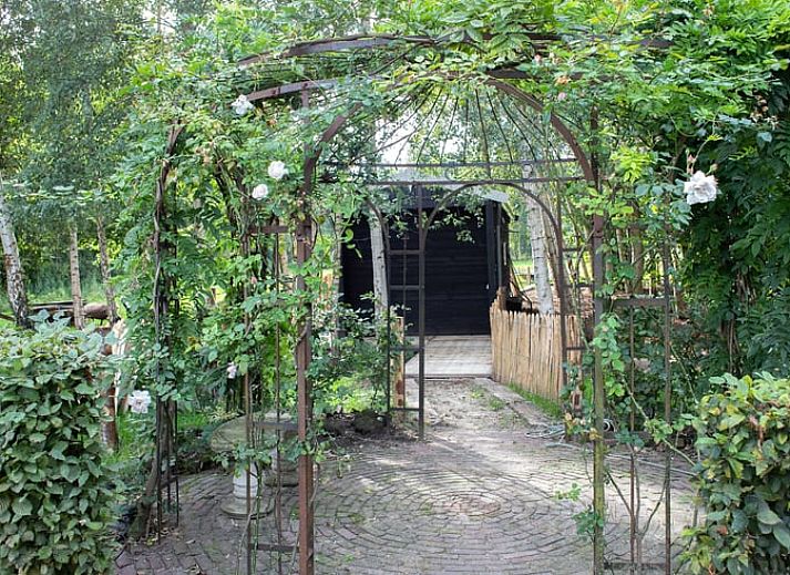 Guest house 288801 - Holiday property Rivierengebied - Vakantiehuis in Gameren