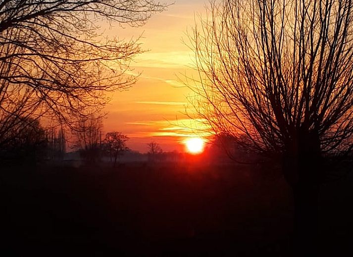 Guest house 296211 - Holiday property Achterhoek - Huisje in Breedenbroek Achterhoek