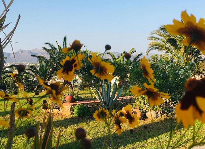 Verblijf 31606201 - Vakantie appartement Kreta - Theodosia Studios