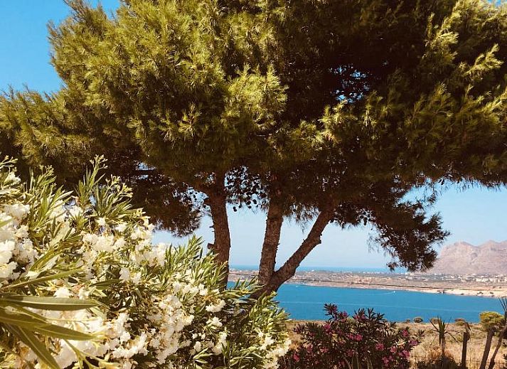 Verblijf 31606201 - Vakantie appartement Kreta - Theodosia Studios