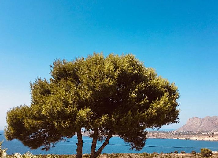 Verblijf 31606201 - Vakantie appartement Kreta - Theodosia Studios