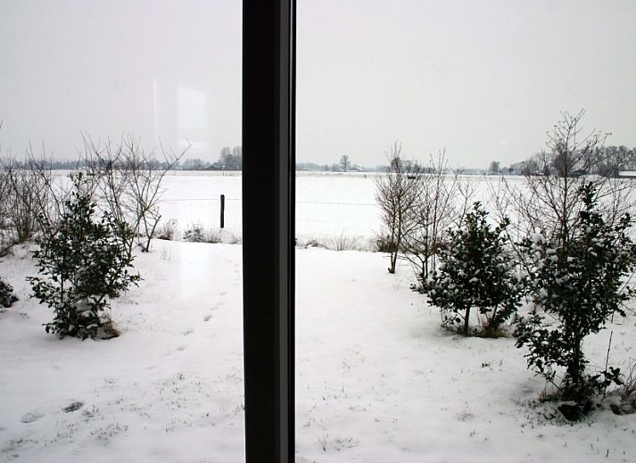 Bloemrijke omgeving bij Van Luttikhuizen chaletverhuur Zwaantje 1, Teuge, Veluwe. Perfect voor natuurliefhebbers.