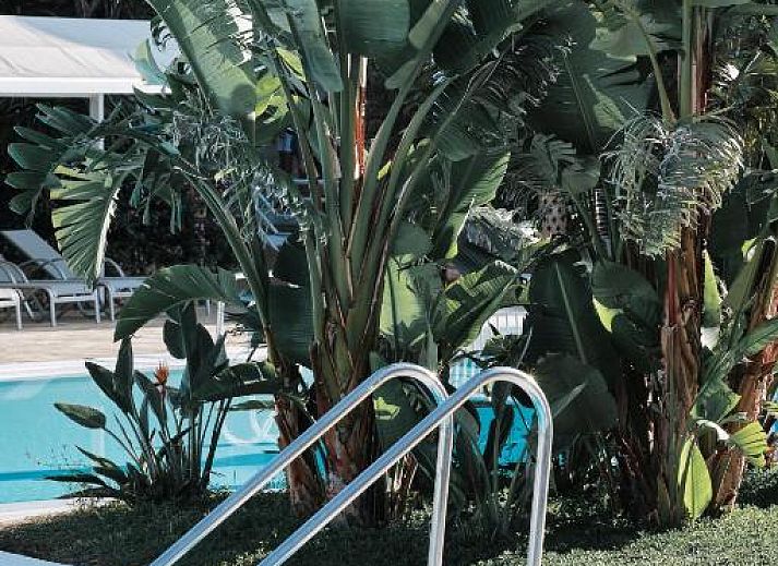 Verblijf 34016003 - Vakantie appartement Mallorca - Prinsotel La Caleta