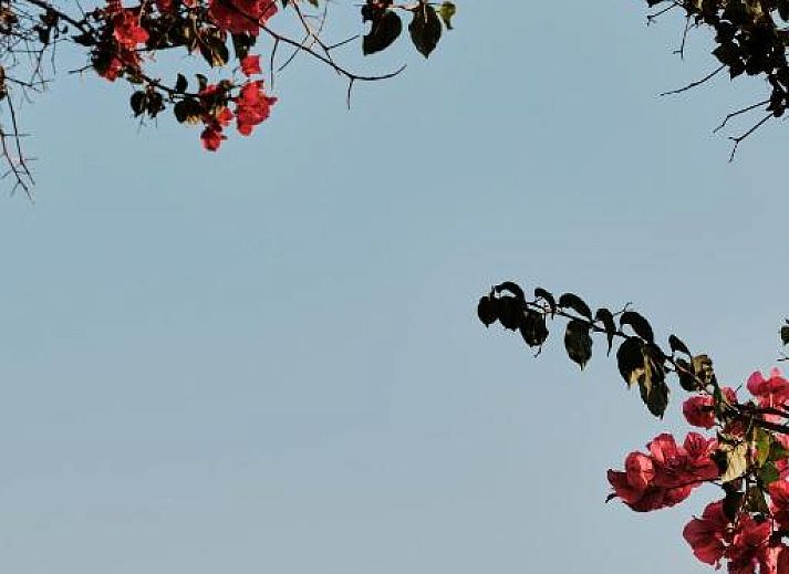 Verblijf 34016003 - Vakantie appartement Mallorca - Prinsotel La Caleta