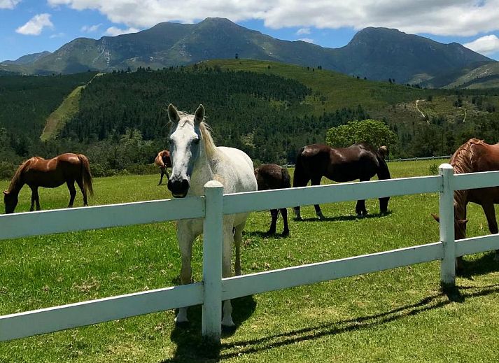 Verblijf 3727201 - Vakantie appartement West-Kaap - Eight Bells Mountain Inn