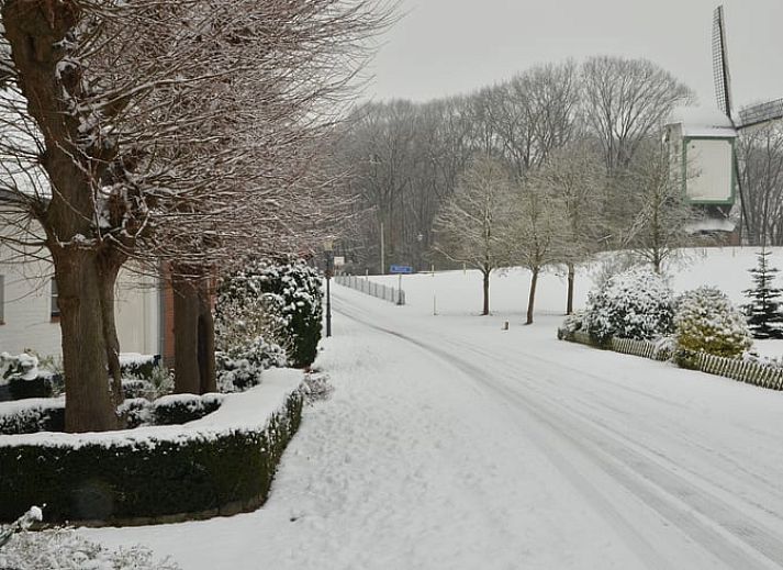 Verblijf 375202 - Vakantiewoning Midden Limburg - Vakantiehuis in Melick