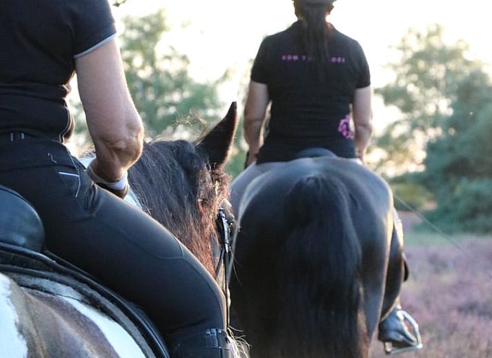 Unterkunft 436404 - Ferienhaus Noordoost Brabant - Vakantiehuisje in Ledeacker