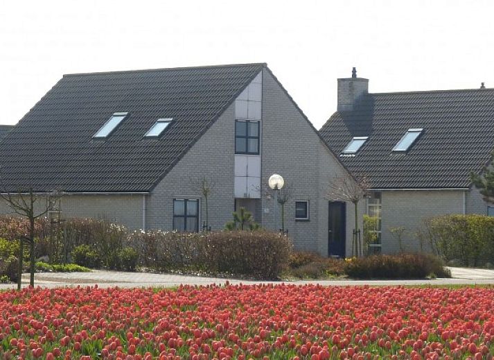 Unterkunft 450237 • Ferienhaus Noordzeekust • Duinvilla Noor