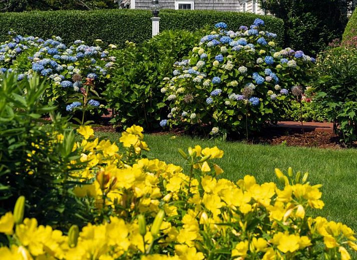 Verblijf 5025102 - Bed and breakfast New England - Old Harbor Inn