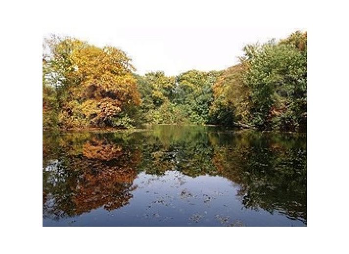 Zonnige woonkamer van Hosta vakantiehuis in Ootmarsum, Twente met comfortabele fauteuils.