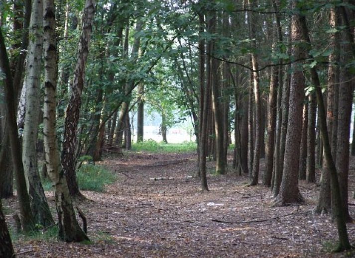 Landgoed Nieuwhuis vakantiehuis in Ootmarsum, Twente met traditionele architectuur en landelijke omgeving.