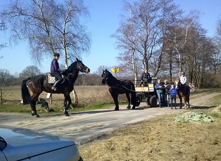 Guest house 522502 - Chalet Twente - Boerderijcamping De Wezel