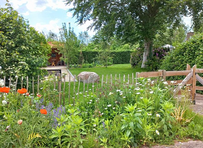 Unterkunft 540152 - Ferienhaus Vechtstreek - Het Ommetje Ommen