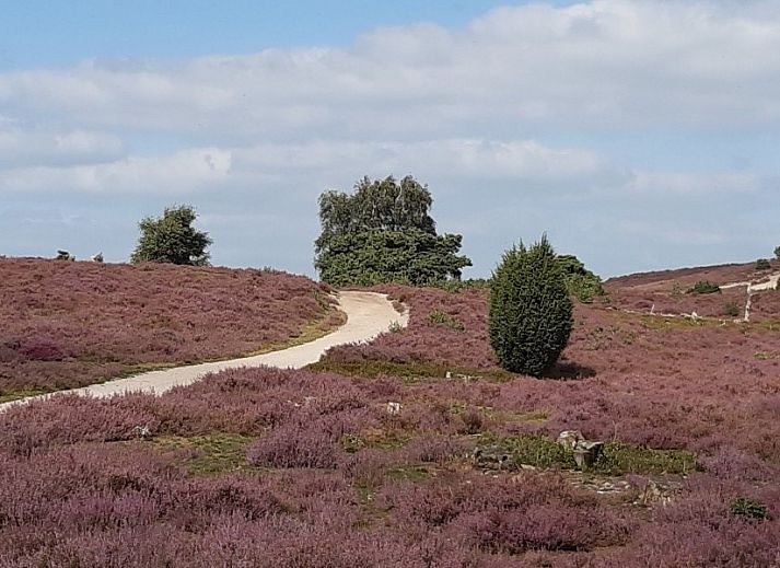 Unterkunft 540152 - Ferienhaus Vechtstreek - Het Ommetje Ommen