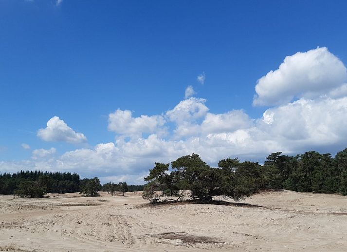 Unterkunft 540152 - Ferienhaus Vechtstreek - Het Ommetje Ommen
