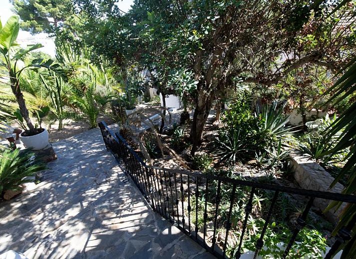 Verblijf 5820502 - Bed and breakfast Ibiza - Buenavista & Suites