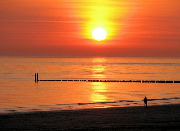 Guest house 620302 - Bungalow Walcheren - Joossesweg 194