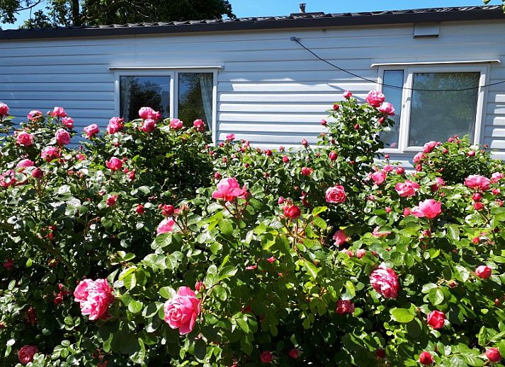 Guest house 6601206 - Chalet Schouwen-Duiveland - Chalet Sunrise met prive strandtuin