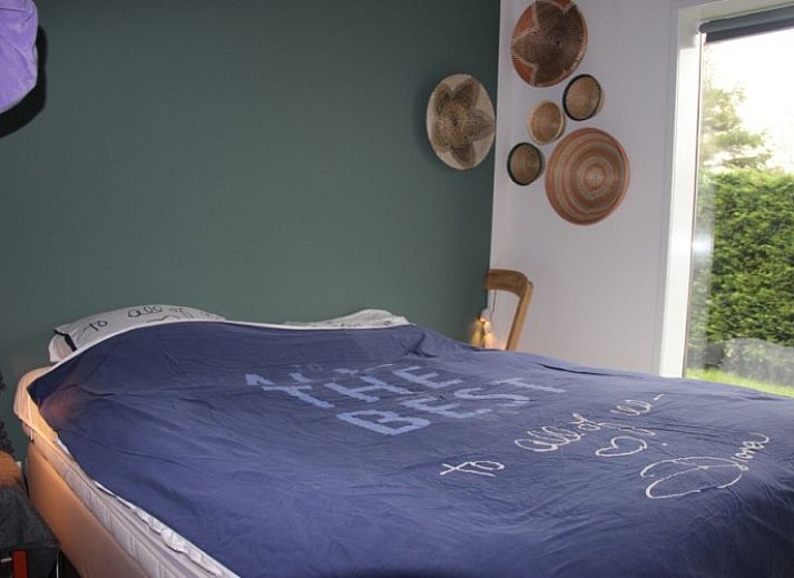 Natuurrijke omgeving van vakantiehuis Zeeegel in Ouddorp, Goeree-Overflakkee, met herfstkleuren en ruime tuin.